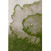 Glitch Green Rug
