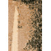 Rug Sukhoviy