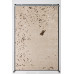 Rug "Vihor Cappuccino" 