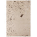 Rug "Vihor Cappuccino" 